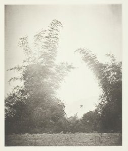 Bombalar çok kutular, çiftlikler, ne. 16. by John Thomson