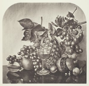 Meyve by John Thomson