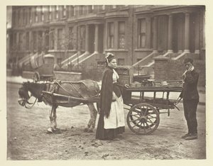 Çilekler. Hepsi Olgun! Tüm Olgun!, 1881. by John Thomson