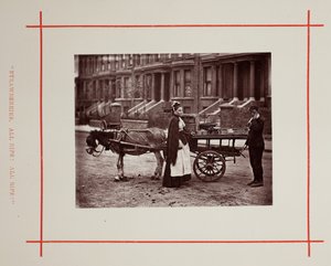 Çilekler. Hepsi olgun! Hepsi olgun!, 1877. by John Thomson