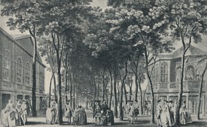 Marylebone Bahçeleri
