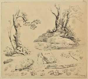 Ağaç Gövdeleri ve Yeşillik Çalışmaları Sayfası by John Varley
