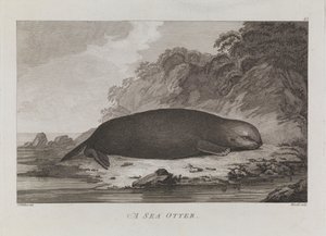  by John Webber