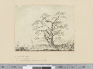 F.44 Deniz Kıyısında Manzara, merkezde büyük ağaç, c.1783-84 by John Webber