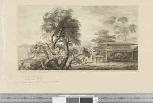 F.46 Deniz Kıyısında Bir Mezar Görünümü, c.1783-84 (suluboya) by John Webber