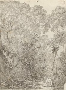Cracatoa Yelpazesi by John Webber