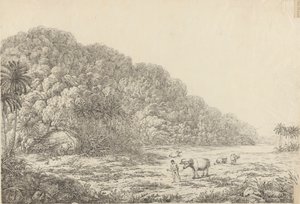 Pulo Condore Adası'nda Görüntüle by John Webber