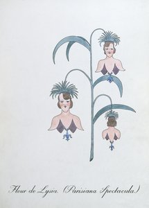 Fleur de Lysia (Parisiana Spectacula.), John Weir