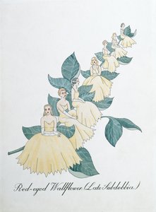 Kırmızı gözlü Wallflower (Geç Subdebbia), John Weir