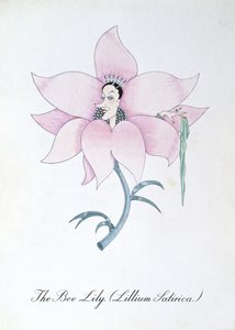 Arı Zambağı (Lilium Satirical.), John Weir