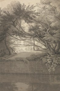 Göl Sarkan Ağaçlar by John White Abbott