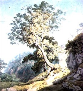Canonteign, Devon yakın görünümü