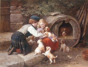 Köpeklerle Oynamak