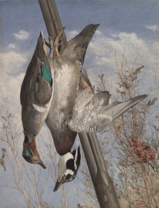 Oyun Kuşları by John William Hill