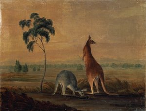 Manzaradaki kangurular, 1819 dolayları by John William Lewin