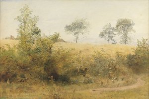 Yarasa Giddy Wing ile Başlıyor - Çitin Üzerindeki Arpa Tarlası, 1885 (kağıda kazıma ile wc ve kalem)