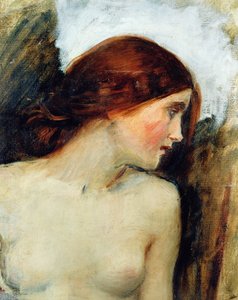 Echo Başkanı için Çalışma, c.1903 (bkz. 55607) by John William Waterhouse