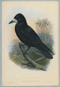 Bilinmeyen resim
