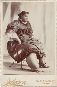 Bir Kadın Portresi, yak. 1890 (fotoğraf) by Johnson