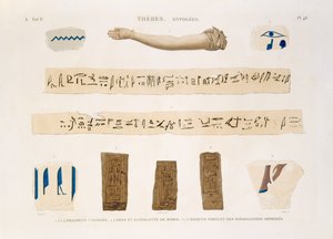 Hiyeroglif çizimleri ve Hypogees, Thebes