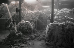 Jüt fabrikası, Kalküta, Hindistan, 2017 (fotoğraf) by Jon Nicholson