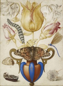 Vazoda Çiçekler Aranjmanı, Böcekli, 1594 (Parşömen üzeri altın ile suluboya) by Joris Hoefnagel