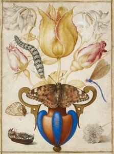 Vazoda Çiçek Aranjmanı, Böcekli, 1594 by Joris Hoefnagel