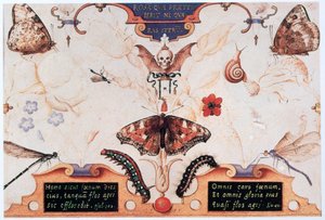 Çiçekler ve böceklerle iki kişilik tablo, 1591. by Joris Hoefnagel