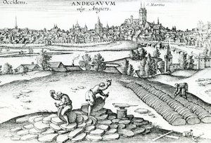 Angers