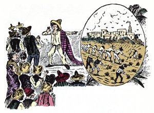 Meksika Devrimi (1910-1920): Valle Nacional