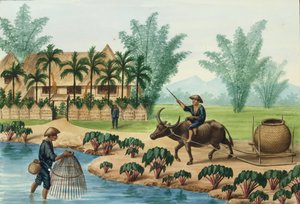 Manila ve Çevresi: Pasig Nehri Üzerinden Bir Sahne