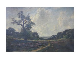 Ortak yolun üzerindeki yol by Jose Weiss