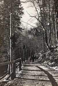Albüm "Meine weltkriegs - Erinnerungen Güney-Batı Cephesi (Karintiya, İtalya, Güney Tirol) (Dünya savaşım - Karintiya, İtalya, Trentino-Alto Adige
