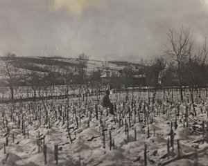 "Benim dünya savaşım - Karintiya, İtalya, Trentino-Alto Adige