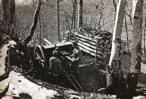 Albüm "Meine weltkriegs - Erinnerungen Güney-Batı Cephesi (Karintiya, İtalya, Güney Tirol) (Dünya savaşım - Karintiya, İtalya, Trentino-Alto Adige