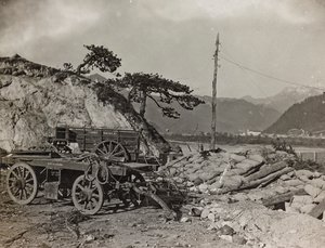 Albüm "Meine weltkriegs - Erinnerungen Güney-Batı Cephesi (Karintiya, İtalya, Güney Tirol) (Dünya savaşım - Karintiya, İtalya, Trentino-Alto Adige