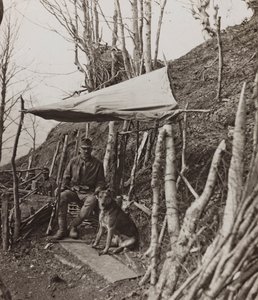 Albüm "Dünya savaşım - Karintiya, İtalya, Trentino-Alto Adige