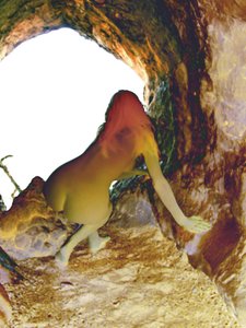 Mağarada