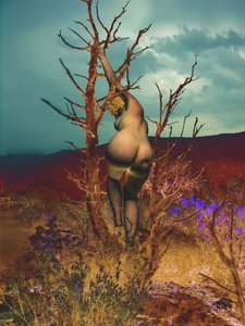 Ağaçta by Joseph Angilella Auquier