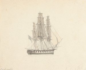Tek Hermafrodit Brig