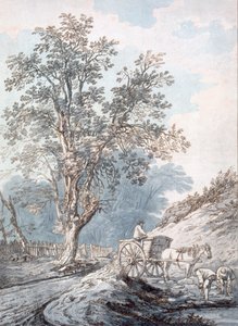 Araba ve At, 18. Yüzyıl. by Joseph Constantine Stadler