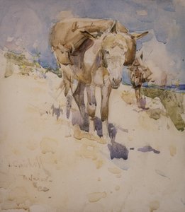 Tanca (kağıt üzerinde wc) by Joseph Crawhall
