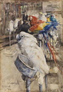 Kuşhane, Clifton by Joseph Crawhall