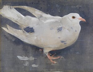 Güvercin (keten üzerine guaş) by Joseph Crawhall