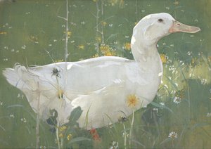 by Joseph Crawhall