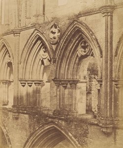 Rievaulx Manastırı. Triforium Kemerleri, 1850