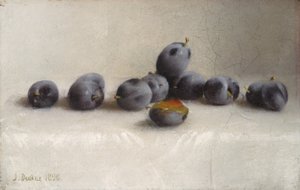 On İki Erik, 1896