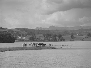 Esthwaite Suyu