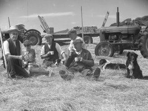 Arka planda köpekler ve traktörlerle saman tarlasında dinlenen tarım işçileri by Joseph Hardman