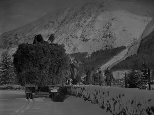Noel ağaçlarıyla dolu kamyon karlı bir yolda ilerliyor by Joseph Hardman